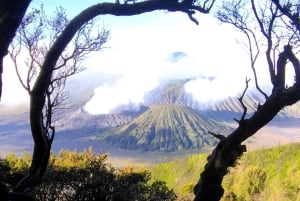 Surabaya eller Malang: Bromo, Tumpaksewu-vandfaldet på 2 dage