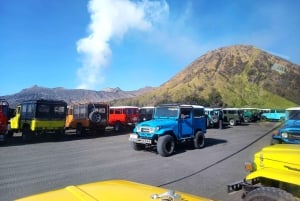 Surabaya eller Malang: Bromo, Tumpaksewu-vandfaldet på 2 dage