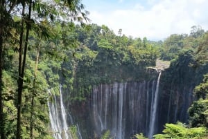 Surabaya eller Malang: Bromo, Tumpaksewu-vandfaldet på 2 dage