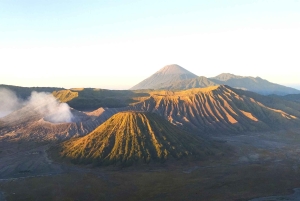 Surabaya or Malang : Bromo, Tumpaksewu waterfall in 2 days