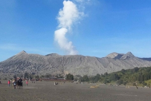 Surabaya or Malang : Bromo, Tumpaksewu waterfall in 2 days