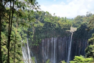 Surabaya or Malang : Bromo, Tumpaksewu waterfall in 2 days