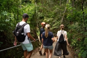 Surabaya: Fælles tur til Tumpak Sewu-vandfaldet, Bromo og Ijen