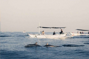 Swim with Dolphins, Waterfall & Ulundanu Bratan Temple Tour