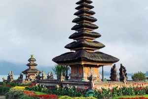 Swim with Dolphins, Waterfall & Ulundanu Bratan Temple Tour