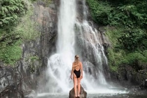 Swim with Dolphins, Waterfall & Ulundanu Bratan Temple Tour