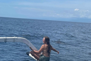 Svømme med delfiner