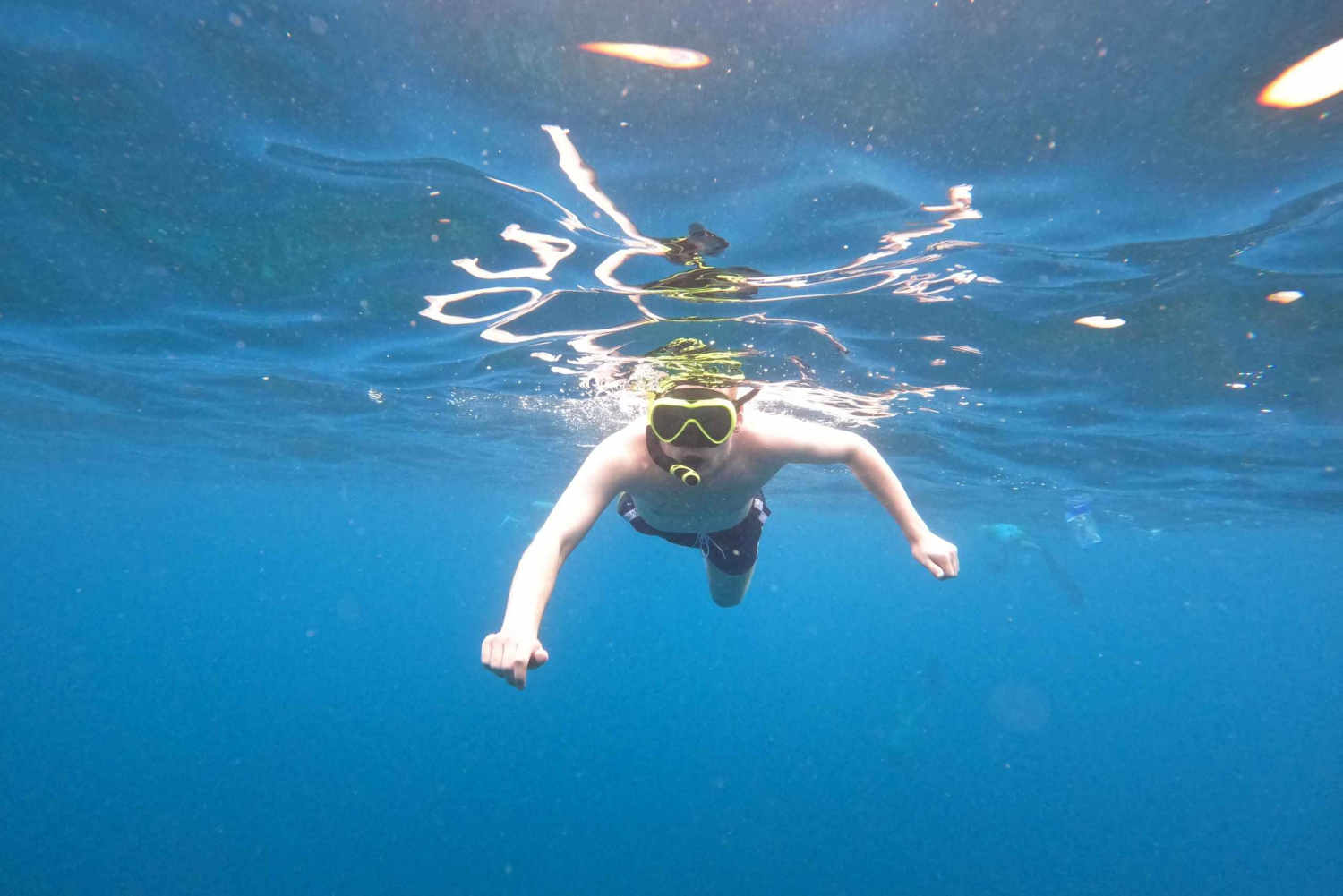Svømning med mantafisk med vores bedste guide og GoPro