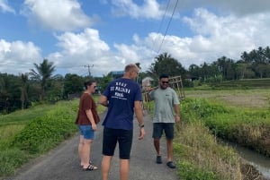 Tabanan: Belimbing Rice Terrace Trekking & Local Life Tour