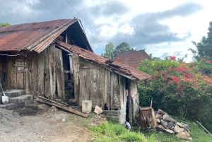 Tabanan: Belimbing Rice Terrace Trekking & Local Life Tour