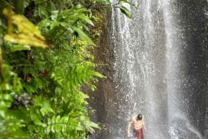 Taman Beji Griya Waterfall: Holy Bathing/Soul Retreat Ritual