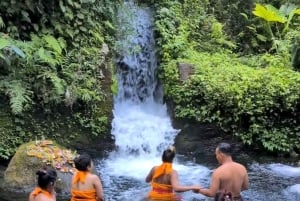 Tampaksiring: Melukat Purification Ritual for First-Timers