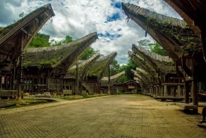 Tana Toraja: Privat 3D2N-tur i södra Sulawesi