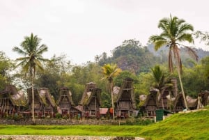 Tana Toraja: tour privato di 3D2N nel Sulawesi meridionale
