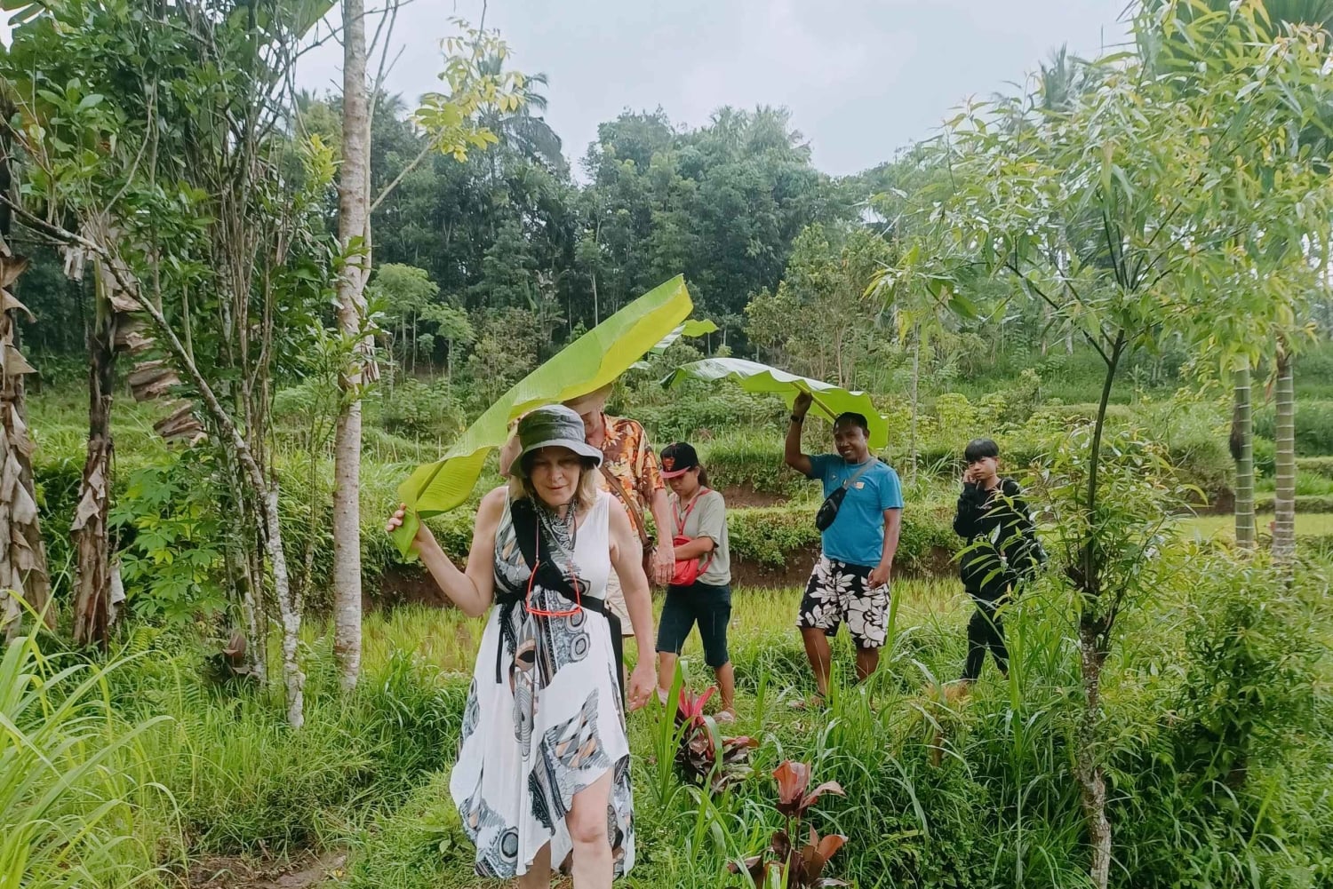 Tetebatu: Waterfalls, Spices, Rice Terrace, Monkey forest