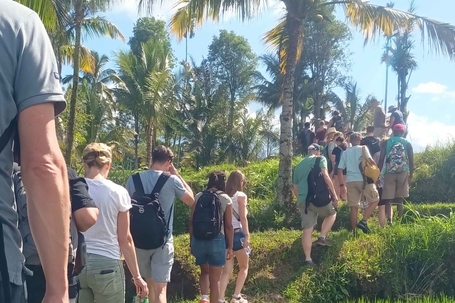 Tetebatu: Waterfalls, Spices, Rice Terrace, Monkey forest