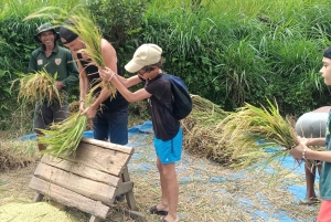 Tetebatu: Waterfalls, Spices, Rice Terrace, Monkey forest