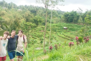 Tetebatu: Waterfalls, Spices, Rice Terrace, Monkey forest