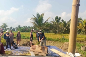 Tetebatu: Waterfalls, Spices, Rice Terrace, Monkey forest