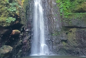 Tetebatu: Waterfalls, Spices, Rice Terrace, Monkey forest