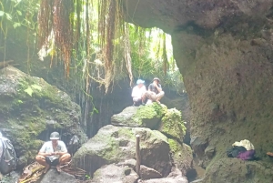 Tetebatu: Waterfalls, Spices, Rice Terrace, Monkey forest