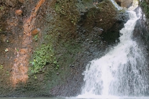 Tetebatu: Waterfalls, Spices, Rice Terrace, Monkey forest