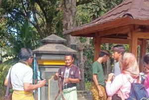 Tetebatu: Waterfalls, Spices, Rice Terrace, Monkey forest