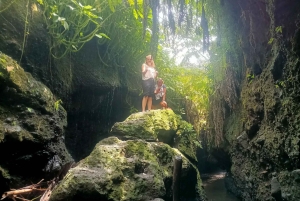 Tetebatu: Waterfalls, Spices, Rice Terrace, Monkey forest