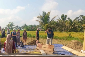 Tetebatu: Waterfalls, Spices, Rice Terrace, Monkey forest