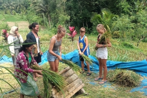 Tetebatu: Waterfalls, Spices, Rice Terrace, Monkey forest