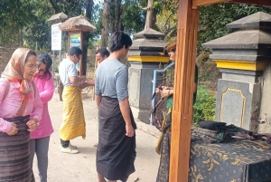 Tetebatu: Waterfalls, Spices, Rice Terrace, Monkey forest