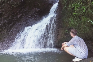 Tetebatu: Waterfalls, Spices, Rice Terrace, Monkey forest