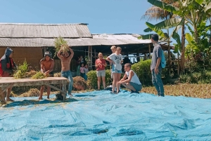 Tetebatu: Waterfalls, Spices, Rice Terrace, Monkey forest