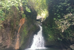 Tetebatu: Waterfalls, Spices, Rice Terrace, Monkey forest