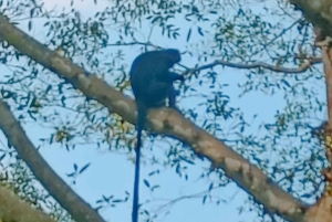 Tetebatu: Waterfalls, Spices, Rice Terrace, Monkey forest