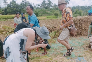 Tetebatu: Waterfalls, Spices, Rice Terrace, Monkey forest