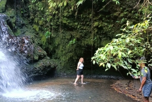 Tetebatu: Waterfalls, Spices, Rice Terrace, Monkey forest