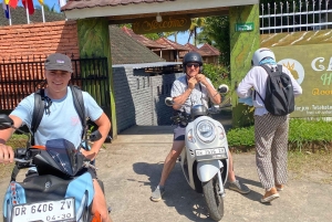 Tetebatu: Waterfalls, Spices, Rice Terrace, Monkey forest