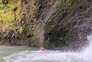 Tetebatu: Waterfalls, Spices, Rice Terrace, Monkey forest