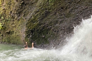 Tetebatu: Waterfalls, Spices, Rice Terrace, Monkey forest