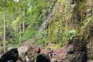 Tetebatu: Waterfalls, Spices, Rice Terrace, Monkey forest