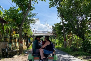 Tetebatu: Waterfalls, Spices, Rice Terrace, Monkey forest