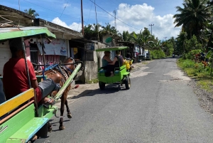 Tetebatu: Waterfalls, Spices, Rice Terrace, Monkey forest