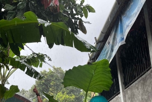 Tetebatu: Waterfalls, Spices, Rice Terrace, Monkey forest