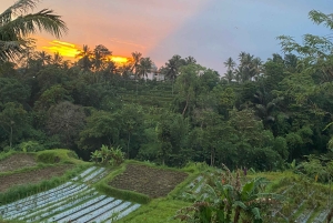 Tetebatu: Waterfalls, Spices, Rice Terrace, Monkey forest