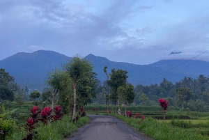 Tetebatu: Waterfalls, Spices, Rice Terrace, Monkey forest