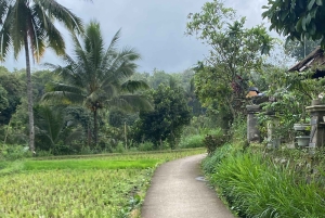 Tetebatu: Waterfalls, Spices, Rice Terrace, Monkey forest