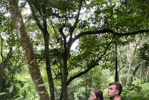 Tetebatu: Waterfalls, Spices, Rice Terrace, Monkey forest