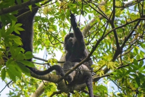 Tetebatu: Waterfalls, Spices, Rice Terrace, Monkey forest