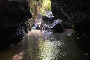 Tetebatu: Waterfalls, Spices, Rice Terrace, Monkey forest